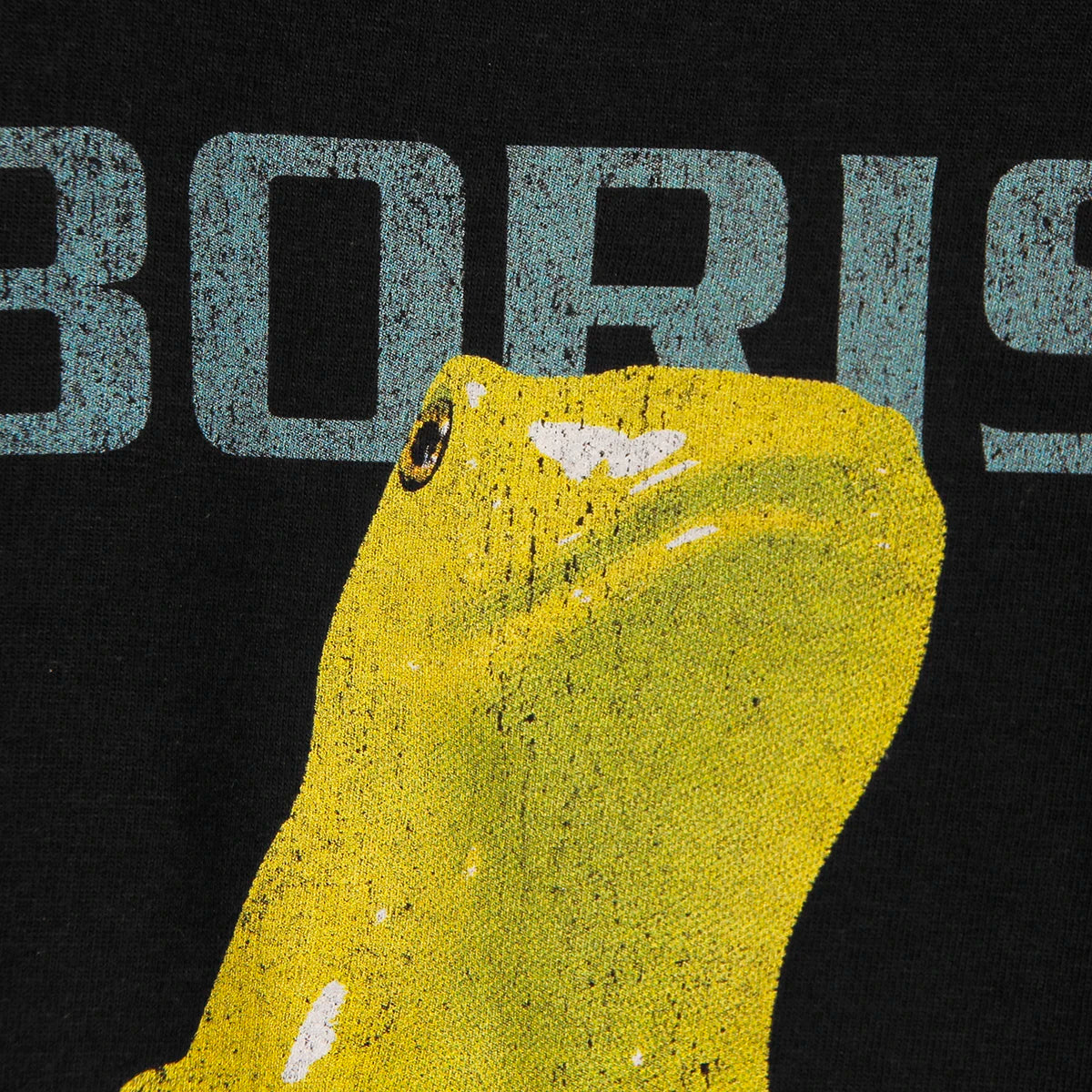Amplifier Worship Boris Cotton T-Shirt